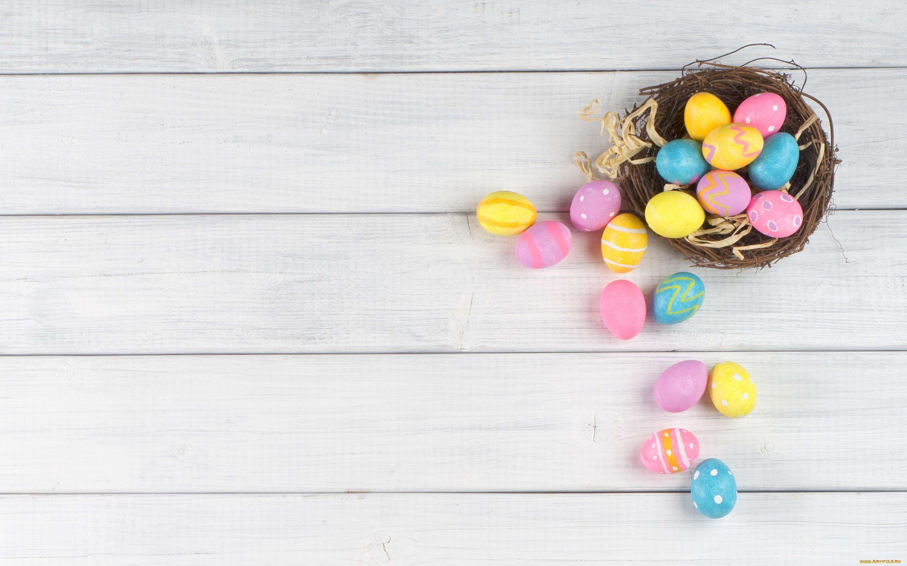 , , eggs, easter, 